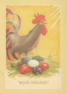 VOGEL Tier Vintage Ansichtskarte Postkarte CPSM #PBR612.DE - Pájaros