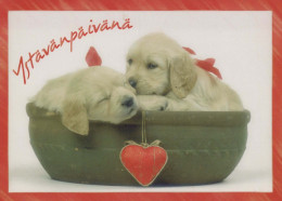 HUND Tier Vintage Ansichtskarte Postkarte CPSM #PBQ440.DE - Hunde