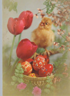OSTERN HUHN EI Vintage Ansichtskarte Postkarte CPSM #PBP104.DE - Pâques