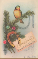 UCCELLO Vintage Cartolina CPSMPF #PKG973.IT - Vogels