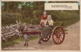 ASINO Animale Vintage CPA Cartolina #PAA236.IT - Donkeys