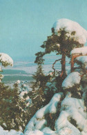 Buon Anno Natale Vintage Cartolina CPSMPF #PKG277.IT - Neujahr