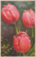 FIORI Vintage Cartolina CPA #PKE734.IT - Bloemen