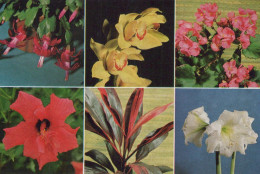 FIORI Vintage Cartolina CPSM #PBZ318.IT - Fleurs