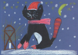 GATTO KITTY Animale Vintage Cartolina CPSM #PBQ895.IT - Katten
