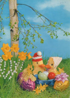 PASQUA UOVO Vintage Cartolina CPSM #PBO220.IT - Easter