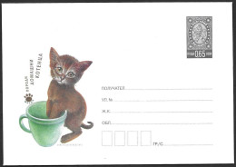 Bulgaria Bulgarie Bulgarien Envelope 2013 Fauna Cat Kitten Pet ** MNH Neuf Postfrisch - Briefe