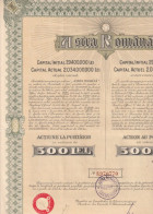 ASTRA ROMANA  BUCAREST  .  ACTION AU PORTEUR EN VALEUR DE 500 LEI  .N° 3.970.770  . RESTE 18 COUPONS DONT 1 SCOTCHE - Autres & Non Classés