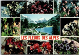 Les Fleurs Des Alpes. - Rhône-Alpes