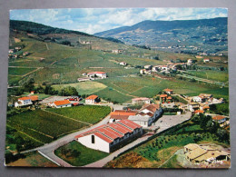 CP 69 Rhône BEAUJEU -  Oenologie Cave Coopérative Beaujolaise QUINCIE En BEAUJOLAIS Vignoble Vignes 1970 - Beaujeu