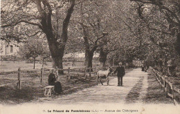 EP 6  -(44) LE PRIEURE DE PONTCHATEAU  -  AVENUE DES CHATAIGNIERS   -  COUPLE AVEC  ANE - 2 SCANS - Autres & Non Classés