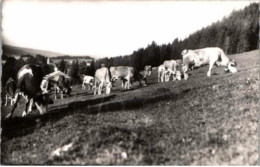 Les Paturages. - Franche-Comté