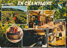 EP 25 -(51) EN CHAMPAGNE - DE LA VIGNE A LA COUPE - CARTE COULEURS MULTIVUES   -  2 SCANS - Viñedos