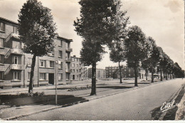 FI 26 -(59) TOURCOING  -   CHAUSSEE GRAMME - CITES  - 2 SCANS - Tourcoing