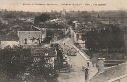 FI 1 -(52) ENVIRONS DE DOULEVANT  -  DOMMARTIN LE SAINT PERE - VUE GENERALE - TROUPEAU DE MOUTONS  -  2 SCANS - Doulevant-le-Château