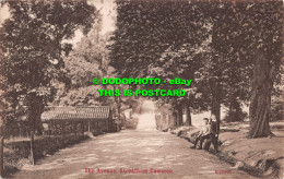 R539320 Streatham Common. The Avenue. O. F. Stengel. 1908 - World