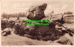 R539329 Tunbridge Wells. The Toad Rock. Photochrom - World