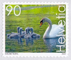 Schweiz Suisse 2023: Schwan - Cygne - Cigno - Swan (Cignus Albus) Selbstklebend - Autocollant - Self-adhesive - Zwanen