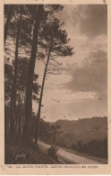 FI 6 - CARTE PUBLICITAIRE LABORATOIRES BADEL , VALENCE S / RHONE - GOUTTES BRONCHOPHILES - LEVER DE SOLEIL EN FORET (40) - Pubblicitari