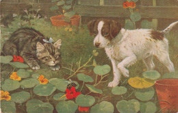 FI 9 -  CHATON ET CHIOT ( EPAGNEUL) DANS PARTERRE DE CAPUCINES ET ABEILLE - ILLUSTRATEUR COBBS - 2 SCANS - Autres & Non Classés