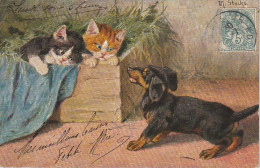 FI 9 - CHATONS DANS CAISSE NARGUANT UN CHIOT ( TECKEL ) - ILLUSTRATEUR STOCKS - 2 SCANS - Other & Unclassified