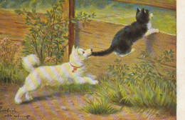 FI 9 - CHATON FUYANT UN CHIEN ( BERGER ) LE MORDANT A LA QUEUE - ILLUSTRATEUR SPERLICH- 2 SCANS - Autres & Non Classés