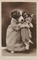 FI 10 - CHIENNE HUMANISEE SERRANT UN CHATON SUR SON COEUR -  2 SCANS - Cani