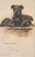 FI 10 - BULL PUPPIES  - CHIOTS DANS PANIERE  - ILLUSTRATEUR  MAUD WEST WATSON -  2 SCANS - Cani