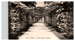 Epinal - Maison Romaine - L'entrée - Sonstige & Ohne Zuordnung