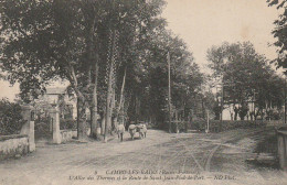 GU 25 -(64) CAMBO  LES BAINS - L'ALLEE DES THERMES ET LA ROUTE DE SAINT JEAN PIED DE PORT - ATTELAGE DE BOEUFS - Cambo-les-Bains