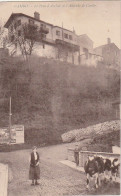 GU 25 -(64) CAMBO  - LE PONT D'ARRIVEE ET L'ALTITUDE DE CAMBO   - VACHERE ET SON TROUPEAU - 2 SCANS - Cambo-les-Bains