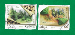 Serbien / Srbija  2011  Mi.Nr. 405 / 406 , EUROPA CEPT / Der Wald - Gestempelt / Fine Used / (o) - 2011