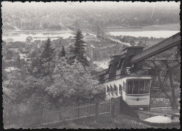 D-01067 Dresden - Loschwitz-Oberloschwitz - Schwebeseilbahn - Train - Dresden