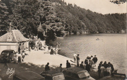 GU 14 -(63) LE LAC PAVIN - L'ARRIVEE AU LAC - ANIMATION - AUTOMOBILES  - 2 SCANS - Sonstige & Ohne Zuordnung