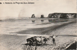 GU 17 -(64) HENDAYE -  LA PLAGE DES DEUX JUMEAUX -  ATTELAGE DE BOEUFS  - 2 SCANS - Hendaye