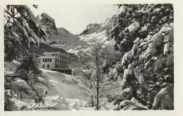 GU 18 -(64) GOURETTE  - L'HOTEL EDELWEISS -  SOUS LA NEIGE -  2 SCANS - Sonstige & Ohne Zuordnung