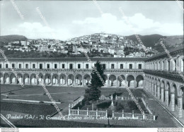 Br197 Cartolina Padula Ilgrande Chiostro Delle Certosa Panorama Salerno Campania - Salerno