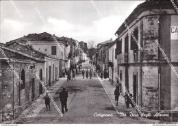 Cd613 Cartolina Catignano Via Duca Degli Abruzzi Provincia Di Pescara Abruzzo - Pescara