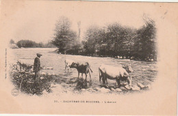 GU Nw -(65) BAGNERES  DE BIGORRE  -  L'ADOUR - TROUPEAU DE VACHES S'ABREUVANT -  2 SCANS - Bagneres De Bigorre