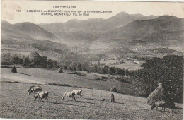 GU Nw -(65) BAGNERES  DE BIGORRE - UNE VUE SUR LA VALLEE DE CAMPAN , MONNE , MONTAIGU , PIC DU MIDI -TROUPEAU DE VACHES - Bagneres De Bigorre