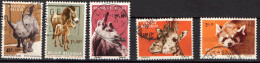 Belgique 1961  Zoo D'Anvers, 5 Timbres Oblitérés - COB 1182 à 1186 (cote > 5€) - Used Stamps