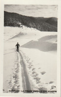 GU Nw  -(65) LE PLATEAU DE PAYOLLE AU PIED DU COL D'ASPIN VERS LA FORET DE SAPINS - SKIEUR , FONDEUR -  2 SCANS - Otros & Sin Clasificación