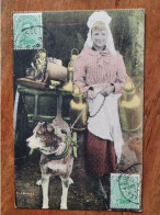 Laitière Flamande Attelage De Chiens  , Carte De Carnet , Rare - Autres & Non Classés