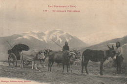 GU Nw - LES PYRENEES -  UN ATTELAGE  MONTAGNARD  - PAYSANNES AVEC ATTELAGE DE BOEUFS  ET ANE - 2 SCANS - Teams