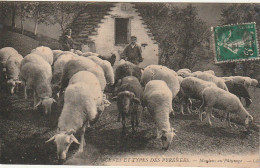 GU Nw - SCENES ET TYPES DES PYRENEES -  MOUTONS AU PATURAGE - BERGERS  - 2 SCANS - Veeteelt