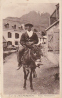 GU Nw -(64) LES PYRENEES  -  VIEUX MONTAGNARD  SUR SON ANE - EDIT. GARRACHE , PAU   - 2 SCANS - Personnages