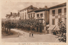 GU Nw -(64) SARE  -  AVENUE DES PLATANES  - HOTEL RESTAURANT DE LA MAIRIE  -  2 SCANS - Sare