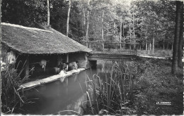 1A  ---  77  VOULX  L'Orvanne Et Le Lavoir - Sonstige & Ohne Zuordnung