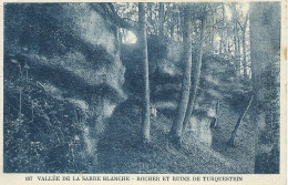 Vallée De La Sarre Blanche - Rocher Et Ruine De TURQUESTEIN – Voyagée 1929 - Andere & Zonder Classificatie
