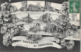 SERGINES ( 89 ) - Souvenir De Sergines - Sergines